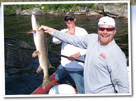 Northern Pike Catch