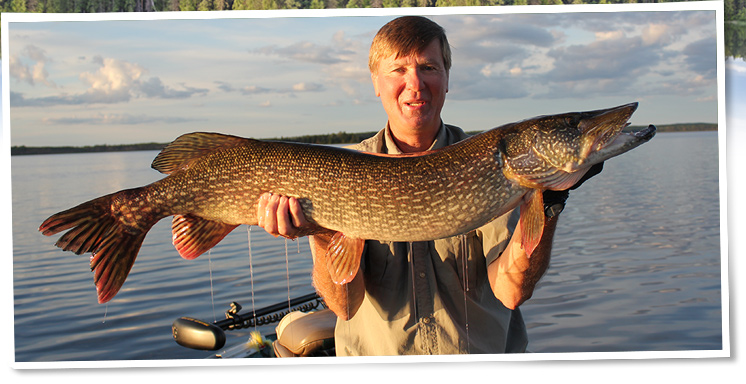 Large Northern Pike Catch.